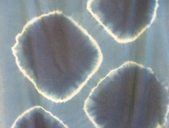 th_DSCF7162